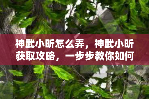 神武小昕怎么弄，神武小昕获取攻略，一步步教你如何获得神武小昕