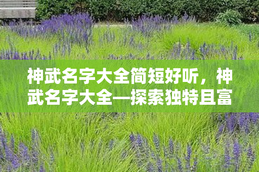 神武名字大全简短好听,神武名字大全—探索独特且富有意义的角色命名之旅 神武名字大全简短好听,神武名字大全—探索独特且富有意义的角色命名之旅