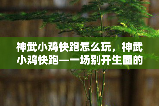神武小鸡快跑怎么玩，神武小鸡快跑—一场别开生面的游戏盛宴