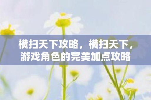 横扫天下攻略,横扫天下,游戏角色的完美加点攻略 横扫天下攻略,横扫天下,游戏角色的完美加点攻略