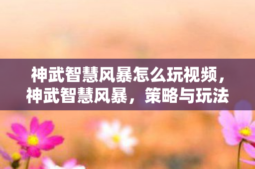 神武智慧风暴怎么玩视频,神武智慧风暴,策略与玩法详解 神武智慧风暴怎么玩视频,神武智慧风暴,策略与玩法详解