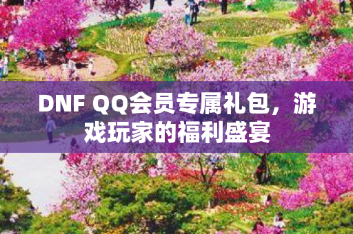DNF QQ会员专属礼包，游戏玩家的福利盛宴
