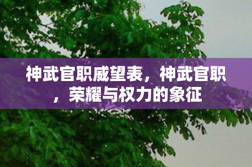 神武官职威望表,神武官职,荣耀与权力的象征 神武官职威望表,神武官职,荣耀与权力的象征