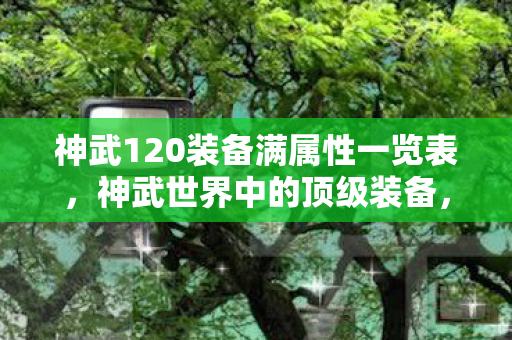 神武120装备满属性一览表，神武世界中的顶级装备，神武120装备详解