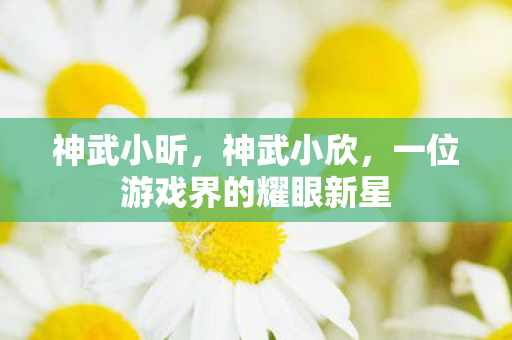 神武小昕，神武小欣，一位游戏界的耀眼新星