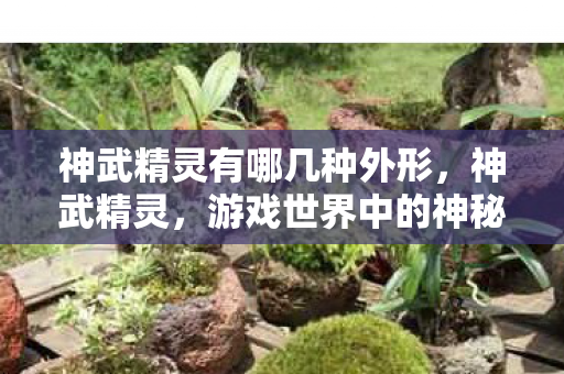 神武精灵有哪几种外形，神武精灵，游戏世界中的神秘存在