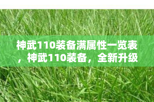 神武110装备满属性一览表,神武110装备,全新升级,战力飙升 神武110装备满属性一览表,神武110装备,全新升级,战力飙升