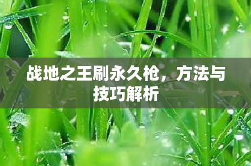 战地之王刷永久枪，方法与技巧解析