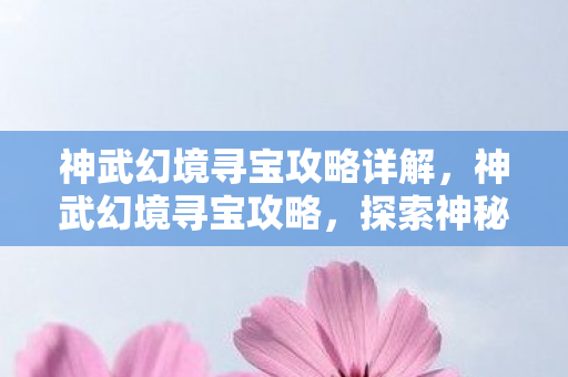 神武幻境寻宝攻略详解，神武幻境寻宝攻略，探索神秘世界的宝藏之旅