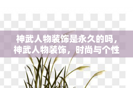 神武人物装饰是永久的吗,神武人物装饰,时尚与个性的完美结合 神武人物装饰是永久的吗,神武人物装饰,时尚与个性的完美结合