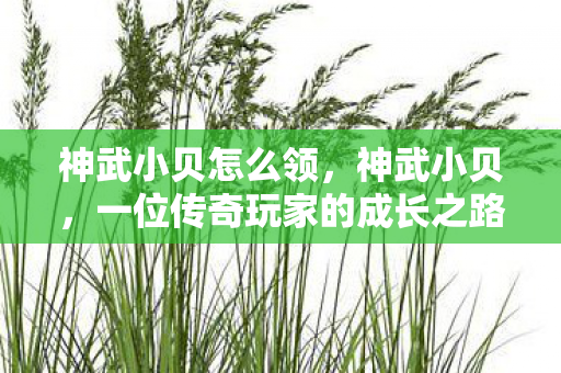 神武小贝怎么领，神武小贝，一位传奇玩家的成长之路