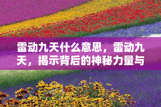 雷动九天什么意思，雷动九天，揭示背后的神秘力量与深层意义