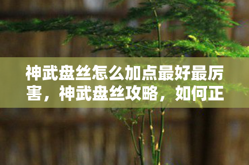 神武盘丝怎么加点最好最厉害，神武盘丝攻略，如何正确加点