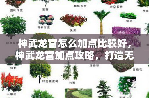 神武龙宫怎么加点比较好，神武龙宫加点攻略，打造无敌龙宫战士