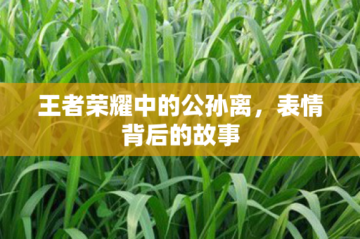 王者荣耀中的公孙离，表情背后的故事