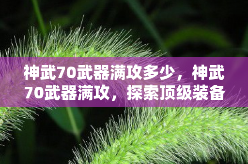 神武70武器满攻多少,神武70武器满攻,探索顶级装备的力量与魅力 神武70武器满攻多少,神武70武器满攻,探索顶级装备的力量与魅力