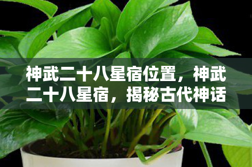 神武二十八星宿位置,神武二十八星宿,揭秘古代神话中的壮丽星辰传奇 神武二十八星宿位置,神武二十八星宿,揭秘古代神话中的壮丽星辰传奇