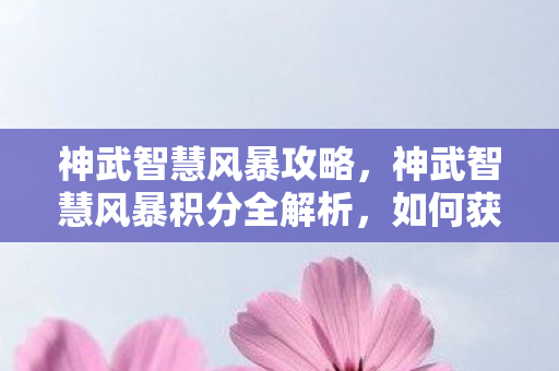 神武智慧风暴攻略,神武智慧风暴积分全解析,如何获取与高效利用 神武智慧风暴攻略,神武智慧风暴积分全解析,如何获取与高效利用