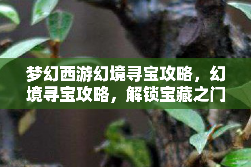 梦幻西游幻境寻宝攻略，幻境寻宝攻略，解锁宝藏之门