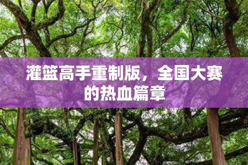 灌篮高手重制版，全国大赛的热血篇章