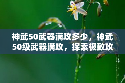 神武50武器满攻多少，神武50级武器满攻，探索极致攻击力的奥秘