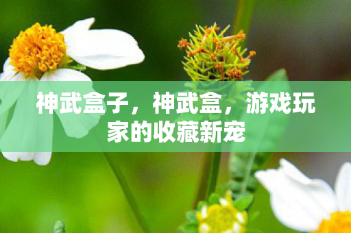 神武盒子，神武盒，游戏玩家的收藏新宠