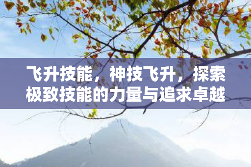 飞升技能，神技飞升，探索极致技能的力量与追求卓越的决心
