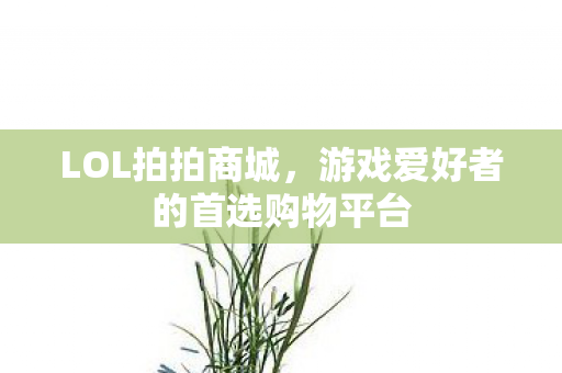 LOL拍拍商城,游戏爱好者的首选购物平台 LOL拍拍商城,游戏爱好者的首选购物平台