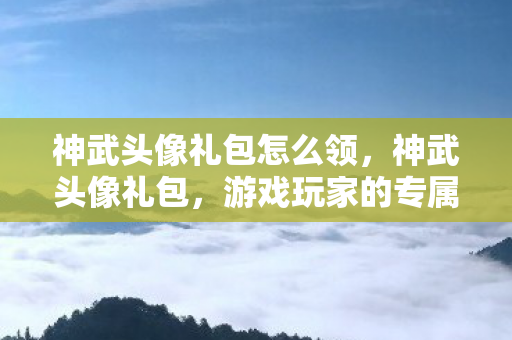 神武头像礼包怎么领，神武头像礼包，游戏玩家的专属福利
