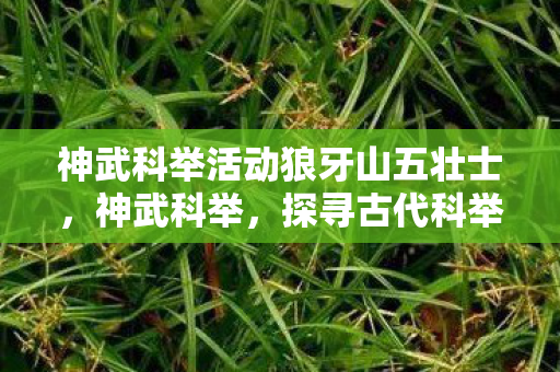 神武科举活动狼牙山五壮士,神武科举,探寻古代科举制度的魅力与影响 神武科举活动狼牙山五壮士,神武科举,探寻古代科举制度的魅力与影响