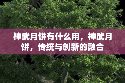 神武月饼有什么用，神武月饼，传统与创新的融合