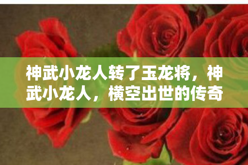 神武小龙人转了玉龙将，神武小龙人，横空出世的传奇英雄