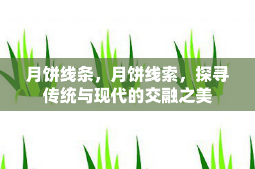 月饼线条，月饼线索，探寻传统与现代的交融之美