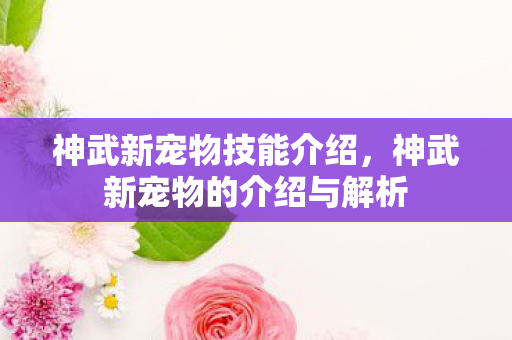 神武新宠物技能介绍,神武新宠物的介绍与解析 神武新宠物技能介绍,神武新宠物的介绍与解析