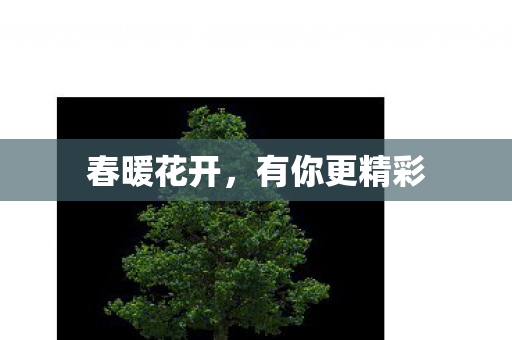 春暖花开，有你更精彩