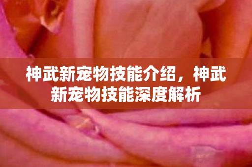 神武新宠物技能介绍,神武新宠物技能深度解析 神武新宠物技能介绍,神武新宠物技能深度解析