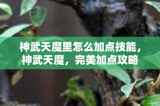 神武天魔里怎么加点技能,神武天魔,完美加点攻略 神武天魔里怎么加点技能,神武天魔,完美加点攻略