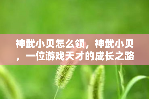 神武小贝怎么领,神武小贝,一位游戏天才的成长之路 神武小贝怎么领,神武小贝,一位游戏天才的成长之路