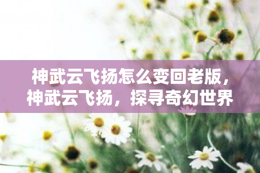 神武云飞扬怎么变回老版,神武云飞扬,探寻奇幻世界的无尽奥秘 神武云飞扬怎么变回老版,神武云飞扬,探寻奇幻世界的无尽奥秘