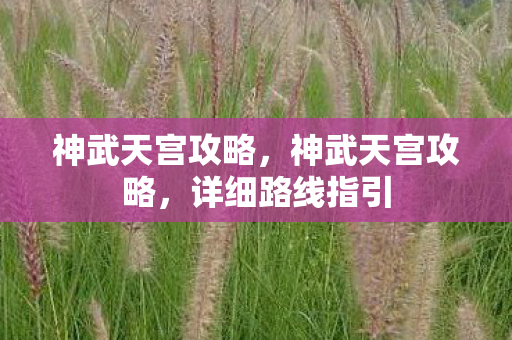 神武天宫攻略,神武天宫攻略,详细路线指引 神武天宫攻略,神武天宫攻略,详细路线指引