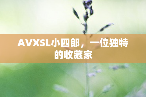 AVXSL小四郎，一位独特的收藏家