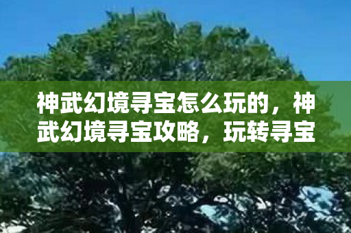 神武幻境寻宝怎么玩的,神武幻境寻宝攻略,玩转寻宝之旅 神武幻境寻宝怎么玩的,神武幻境寻宝攻略,玩转寻宝之旅