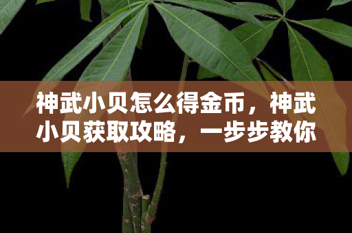 神武小贝怎么得金币,神武小贝获取攻略,一步步教你如何获得神武小贝 神武小贝怎么得金币,神武小贝获取攻略,一步步教你如何获得神武小贝