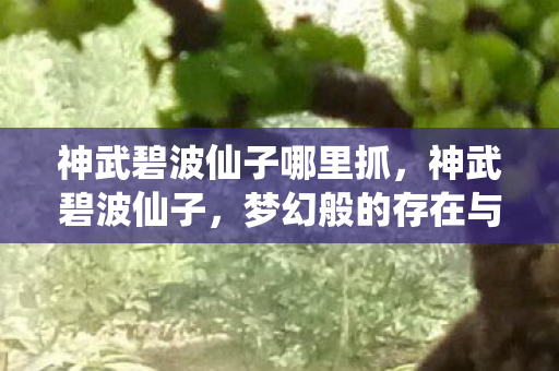 神武碧波仙子哪里抓,神武碧波仙子,梦幻般的存在与深入解析 神武碧波仙子哪里抓,神武碧波仙子,梦幻般的存在与深入解析