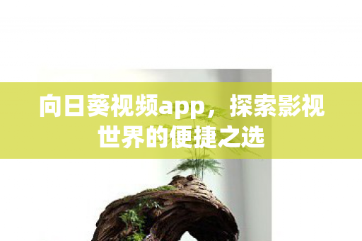 向日葵视频app,探索影视世界的便捷之选 向日葵视频app,探索影视世界的便捷之选