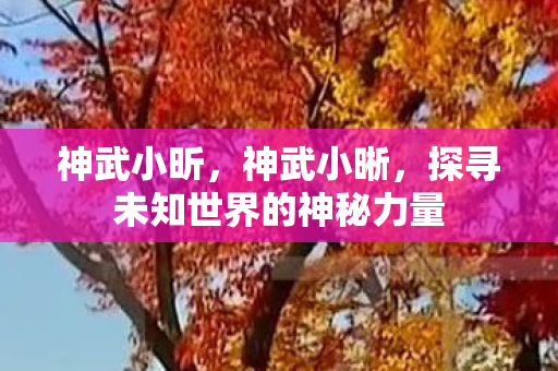 神武小昕，神武小晰，探寻未知世界的神秘力量