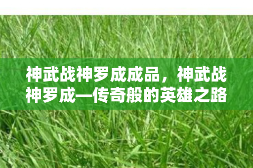神武战神罗成成品，神武战神罗成—传奇般的英雄之路