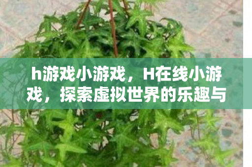 h游戏小游戏，H在线小游戏，探索虚拟世界的乐趣与魅力
