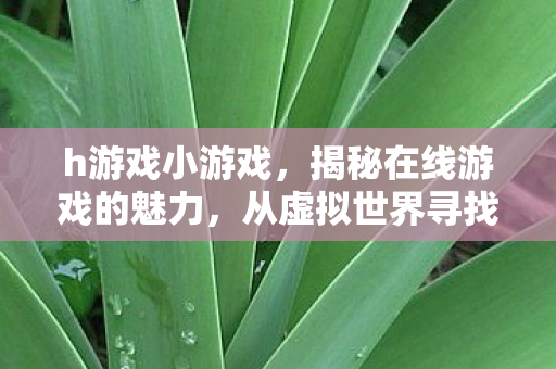 h游戏小游戏，揭秘在线游戏的魅力，从虚拟世界寻找真实乐趣