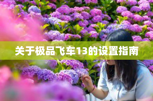 关于极品飞车13的设置指南